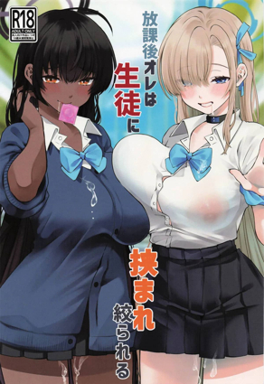 漂亮干姐姐 封面